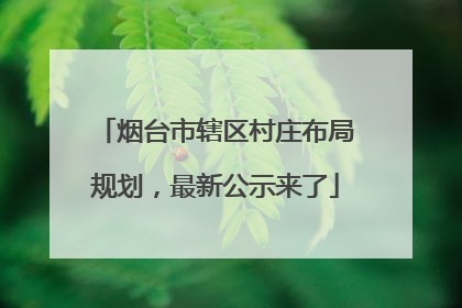 烟台市辖区村庄布局规划，最新公示来了