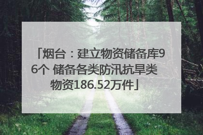 烟台：建立物资储备库96个 储备各类防汛抗旱类物资186.52万件