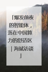 爆发前夜的智能体，落在中国算力的舒适区｜海斌访谈