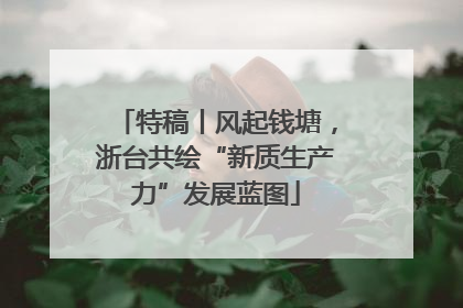 特稿丨风起钱塘，浙台共绘“新质生产力”发展蓝图