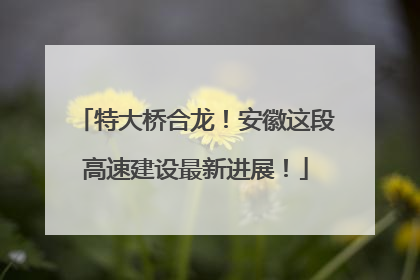特大桥合龙！安徽这段高速建设最新进展！