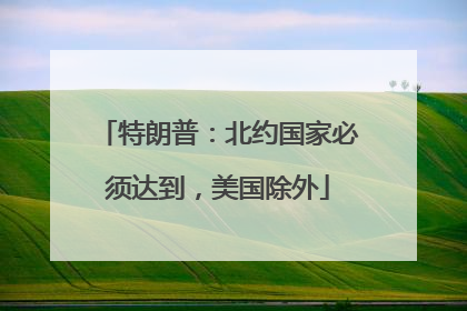 特朗普：北约国家必须达到，美国除外