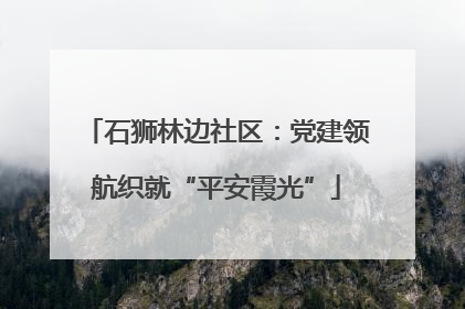 石狮林边社区：党建领航织就“平安霞光”