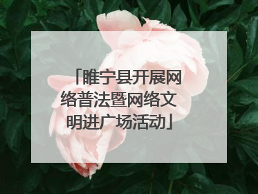 睢宁县开展网络普法暨网络文明进广场活动