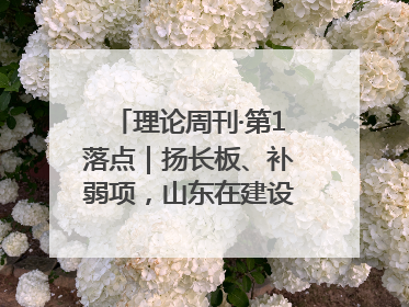 理论周刊·第1落点｜扬长板、补弱项，山东在建设现代化产业体系上“大有可为”