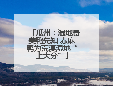 瓜州：湿地景美鸭先知 赤麻鸭为荒漠湿地“上大分”