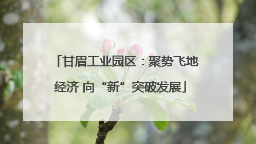 甘眉工业园区：聚势飞地经济 向“新”突破发展