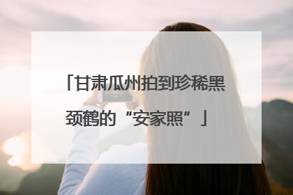 甘肃瓜州拍到珍稀黑颈鹤的“安家照”