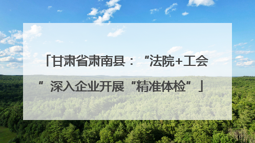 甘肃省肃南县：“法院+工会”深入企业开展“精准体检”