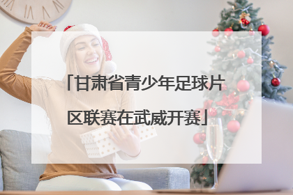 甘肃省青少年足球片区联赛在武威开赛