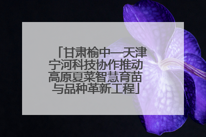 甘肃榆中—天津宁河科技协作推动高原夏菜智慧育苗与品种革新工程