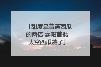 甜度是普通西瓜的两倍 襄阳首批太空西瓜熟了