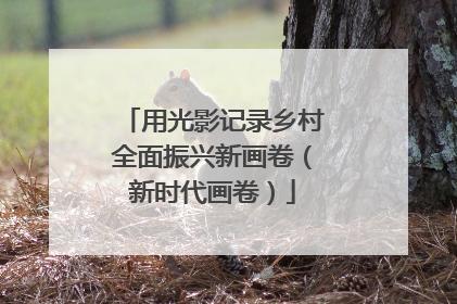 用光影记录乡村全面振兴新画卷（新时代画卷）