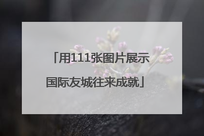 用111张图片展示国际友城往来成就