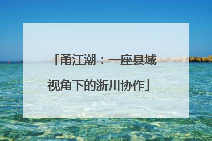 甬江潮：一座县域视角下的浙川协作