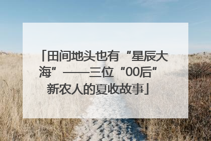 田间地头也有“星辰大海”——三位“00后”新农人的夏收故事