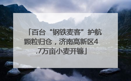 百台“钢铁麦客”护航颗粒归仓，济南高新区4.7万亩小麦开镰