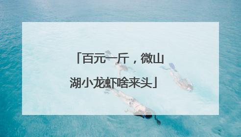 百元一斤，微山湖小龙虾啥来头