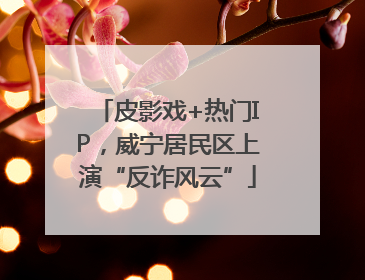 皮影戏+热门IP，威宁居民区上演“反诈风云”