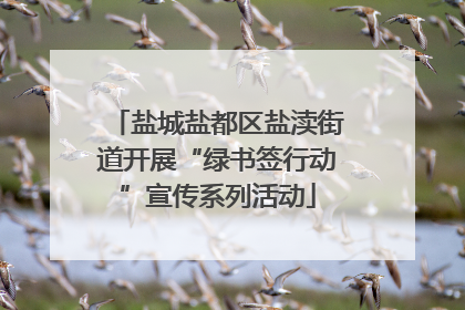 盐城盐都区盐渎街道开展“绿书签行动”宣传系列活动
