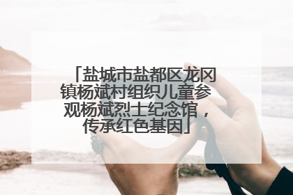 盐城市盐都区龙冈镇杨斌村组织儿童参观杨斌烈士纪念馆，传承红色基因
