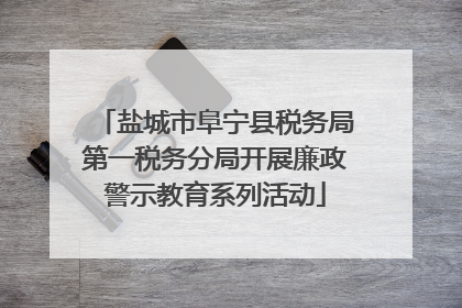 盐城市阜宁县税务局第一税务分局开展廉政警示教育系列活动