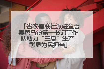 省农信联社派驻鱼台县唐马镇第一书记工作队助力“三夏”生产 彰显为民担当