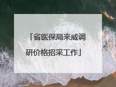 省医保局来威调研价格招采工作
