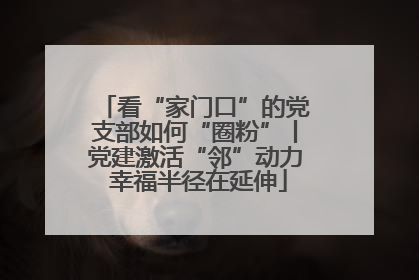看“家门口”的党支部如何“圈粉”丨党建激活“邻”动力 幸福半径在延伸
