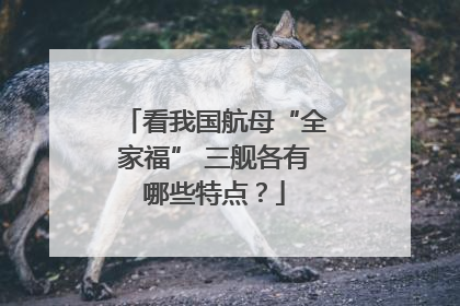 看我国航母“全家福” 三舰各有哪些特点？