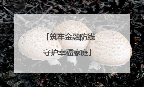 筑牢金融防线 守护幸福家庭