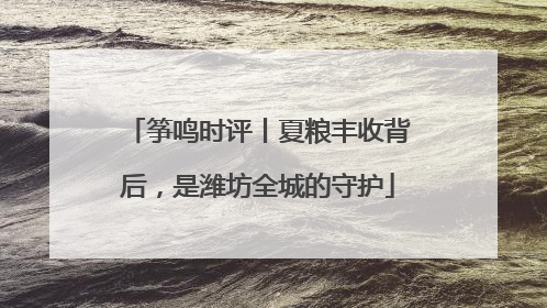 筝鸣时评丨夏粮丰收背后，是潍坊全城的守护