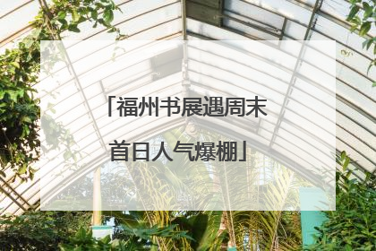 福州书展遇周末 首日人气爆棚