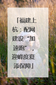 福建上杭：配网建设“加速跑”，迎峰度夏添保障