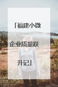 福建小微企业质量跃升记