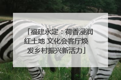 福建永定：荷香浸润红土地 文化会客厅焕发乡村振兴新活力