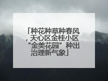 种花种草种春风，天心区金桂小区“金美花园”种出治理新气象