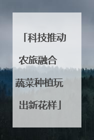 科技推动农旅融合 蔬菜种植玩出新花样