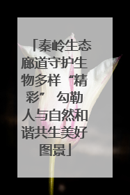 秦岭生态廊道守护生物多样“精彩” 勾勒人与自然和谐共生美好图景
