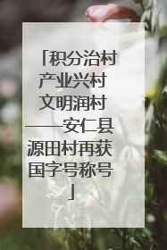 积分治村 产业兴村 文明润村——安仁县源田村再获国字号称号