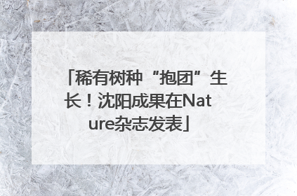 稀有树种“抱团”生长！沈阳成果在Nature杂志发表