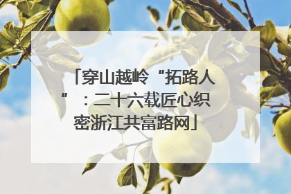 穿山越岭“拓路人”：二十六载匠心织密浙江共富路网