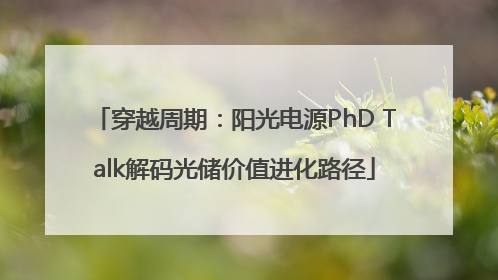 穿越周期：阳光电源PhD Talk解码光储价值进化路径
