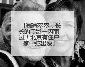窸窸窣窣，长长的黑影一闪而过！北京有住户家中蛇出没