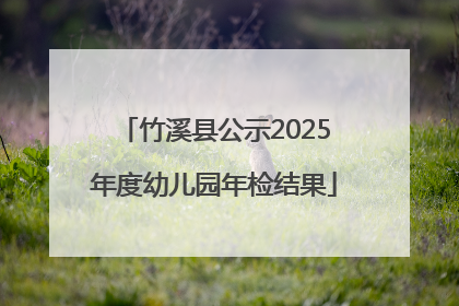竹溪县公示2025年度幼儿园年检结果