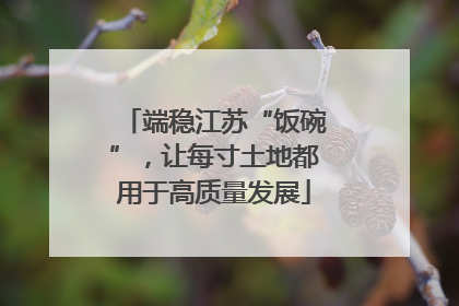 端稳江苏“饭碗”，让每寸土地都用于高质量发展