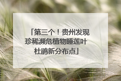 第三个！贵州发现珍稀濒危植物睡莲叶杜鹃新分布点