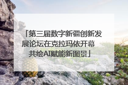 第三届数字新疆创新发展论坛在克拉玛依开幕 共绘AI赋能新图景