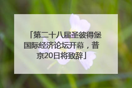 第二十八届圣彼得堡国际经济论坛开幕，普京20日将致辞