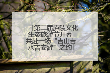 第二届庐陵文化生态旅游节开幕 共赴一场“吉山吉水吉安游”之约